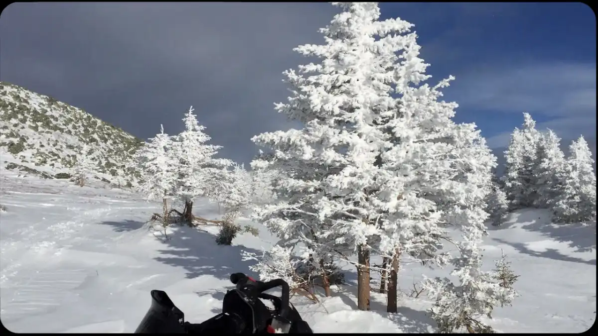 Экскурсии и прогулки