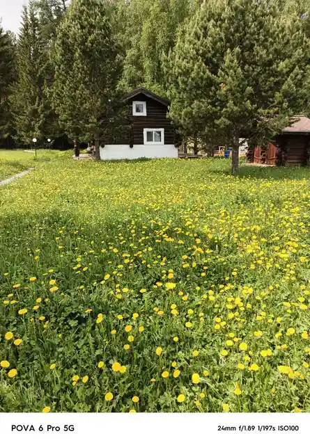 Наши дома — фото 4